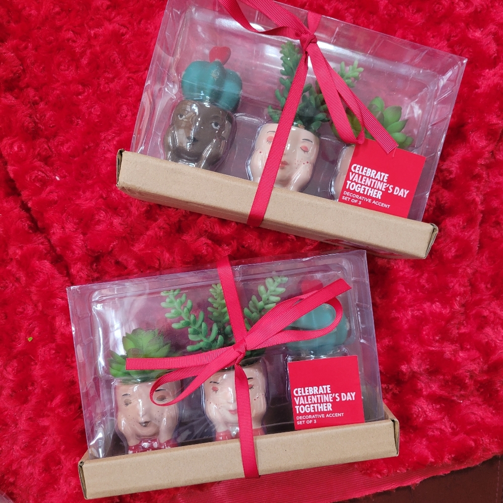 Kohl's Celebrate Together™ Valentine's Day Artificial Succulent Planter 3-pieces - Picture 16 of 16